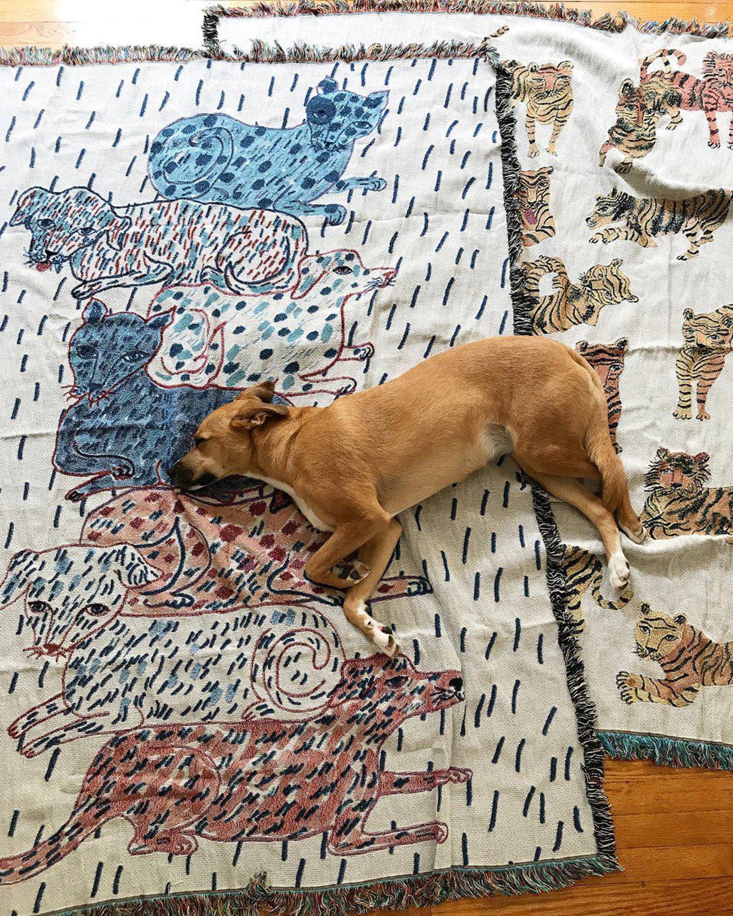 OLIVIA WENDEL Sprinkled Dogs and Cats Totem Blanket