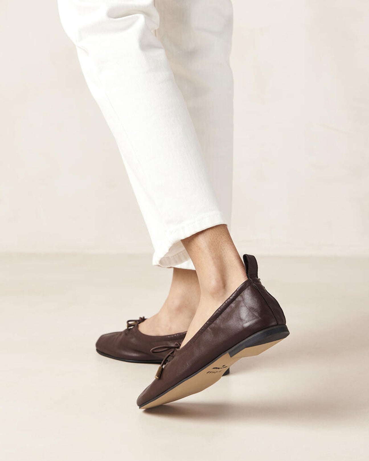 ALOHAS Rosalind Leather Ballet Flats in Brown