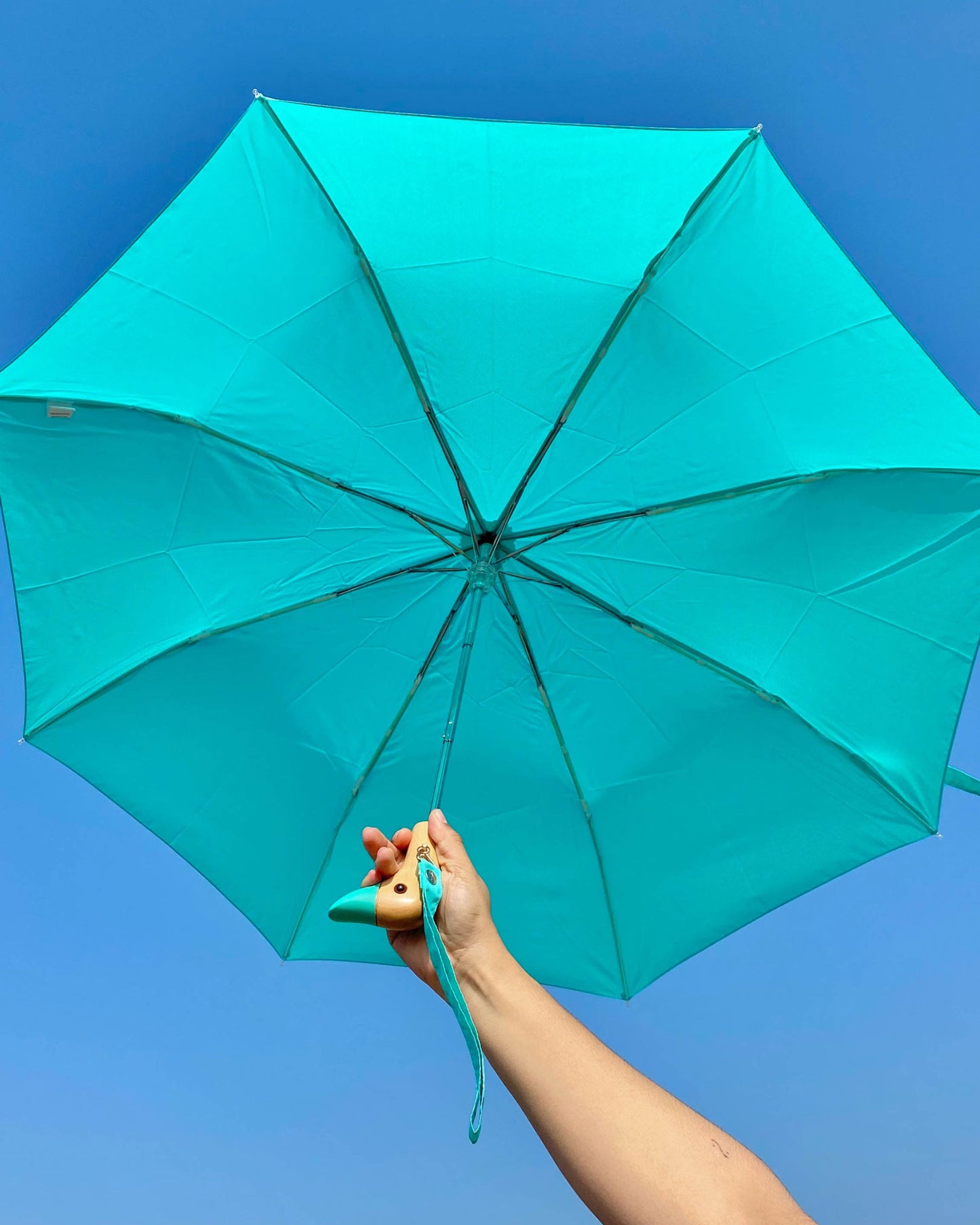 ORIGINAL DUCKHEAD Compact Umbrella in Mint available at Lahn.shop