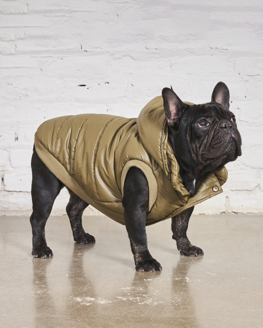 FOUND MY ANIMAL Puffer Coat With Removable Hood in Olive available at Lahn.shop