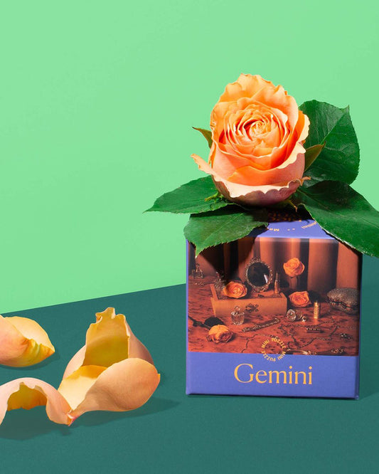 PIECEWORK Zodiac Collection Mini Puzzle in Gemini available at Lahn.shop